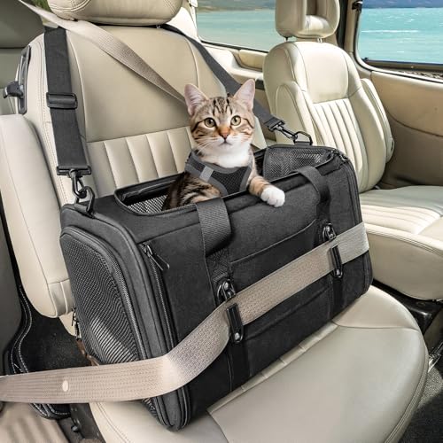 Petsfit Transportbox Katze Hundebox Auto Katzentransportbox Transportbox Hund - Faltbare Tragetasche mit 2 Patent-Schnallen für Autositz, 4-seitigem Netz & Abnehmbarem Kissen, S/Schwarz Petsfit Transportbox Katze Hundebox Auto Katzentransportbox Transportbox Hund - Faltbare Tragetasche mit 2 Patent-Schnallen für Autositz, 4-seitigem Netz & Abnehmbarem Kissen, S/Schwarz von Petsfit