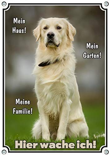 Exklusives Hundeschild Golden Retriever - Warnschild in Premiumqualität Metallschild, DIN A4 von Petsigns