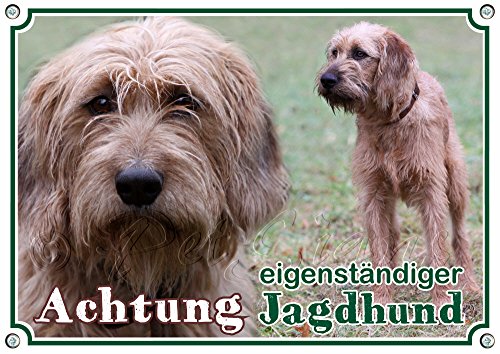 Hunde Warnschild Steirische Rauhaarbracke - eigenständiger Jagdhund, DIN A5 von Petsigns