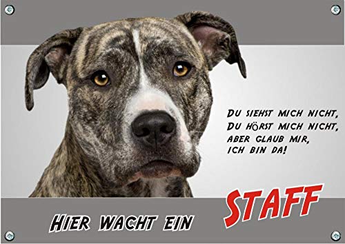 Hundeschild American Staffordshire Terrier -beständiges Wachschild 100% Metall, DIN A3 von Petsigns