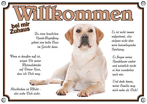 Hundeschild - Blonder Labrador Retriever - Willkommensschild - uv-beständiges Metallschild, DIN A5 von Petsigns