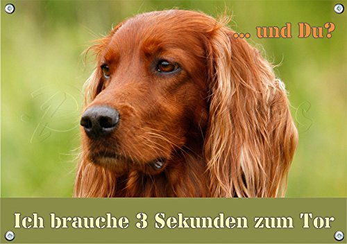 Hundeschild - Irischer Roter Setter -Premium Metallschild rostfrei und beständig, DIN A5 von Petsigns