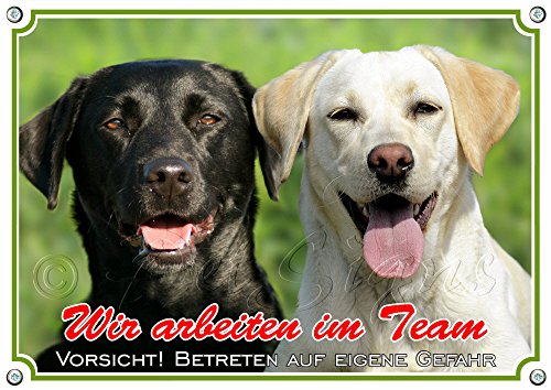 Hundeschild - Labrador Retriever -Collage - Exklusives Metallschild in Fotoqualität, DIN A4 von Petsigns