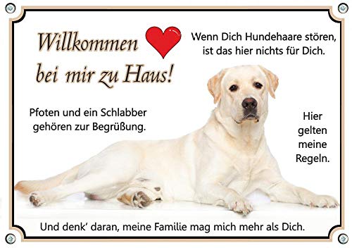 Hundeschild Labrador Retriever - Willkommen - Metallschild in TOP Qualität, DIN A4 von Petsigns