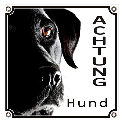 Hundeschild Labrador Retriever - erstklassiges Hundeschild besonders haltbar, 20 x 20 cm von Petsigns