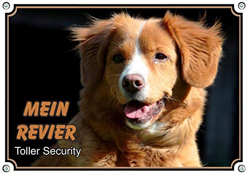 Hundeschild - Nova Scotia Duck Tolling Retriever - Warnschild auf Metallplatte - TOP, DIN A4 Hundeschild - Nova Scotia Duck Tolling Retriever - Warnschild auf Metallplatte - TOP, DIN A4 von Petsigns