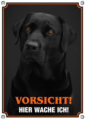 Hundeschild schwarzer Labrador Retriever - Vorsicht Warnschild aus Metall, DIN A3 von Petsigns