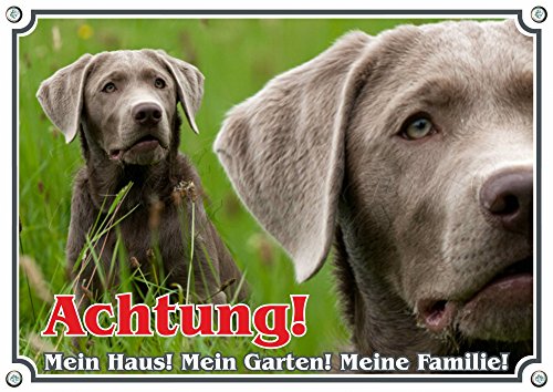 Hundewarnschild Labrador Retriever -TOP Hundeschild - 1,5 mm Metallplatte -, DIN A5 von Petsigns