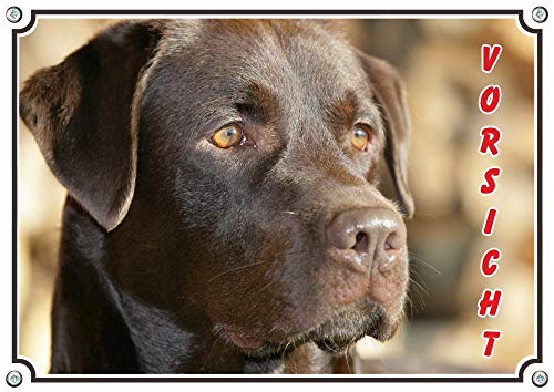 Hundewarnschild - Labrador Retriever - Vorsicht! Metallschild TOP Qualität, DIN A5 von Petsigns