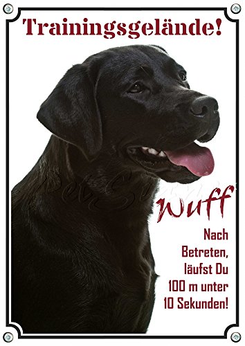 Hundewarnschild Labrador Retriever - hochwertiges Metallschild in Fotoqualität, DIN A3 von Petsigns