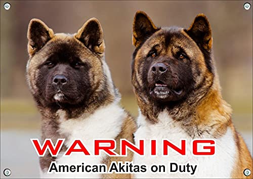 Petsigns Dog Sign - Two American Akita - Warning - Beware of The Dog, DIN A5 von Petsigns
