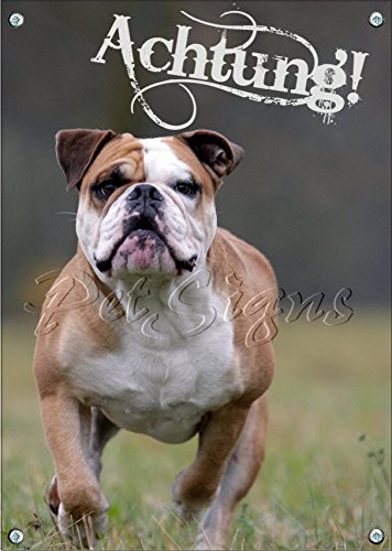 Petsigns English Bulldog - Hunde Warnschild - Achtung! Metallschild TOP, DIN A5 von Petsigns
