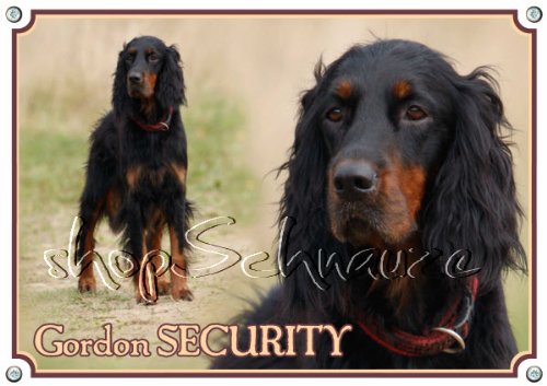 Petsigns Gordon Setter - Hundeschild - Warnschild aus 1,5 mm Metallplatte - UV beständig, DIN A4 von Petsigns