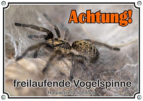 Petsigns Hinweisschild Vogelspinne - hochwertiges Metallschild - Achtung Harpactirella, DIN A4 von Petsigns