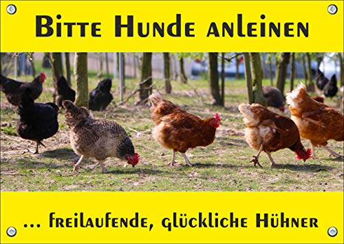 Petsigns Hinweisschild freilaufende Hühner - uv-beständiges Metallschild - Bitte Hunde anleinen, DIN A3 von Petsigns