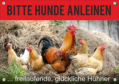 Petsigns Hinweisschild freilaufende Hühner - wunderschönes Metallschild - Bitte Hunde anleinen, DIN A4 von Petsigns