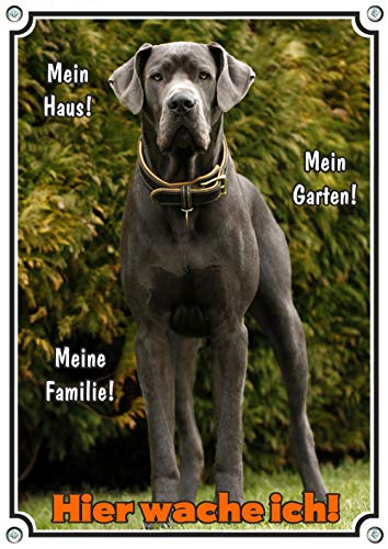 Petsigns Hochwertiges Hundeschild - Deutsche Dogge - Hier WACHE ICH! Warnschild, DIN A3 von Petsigns