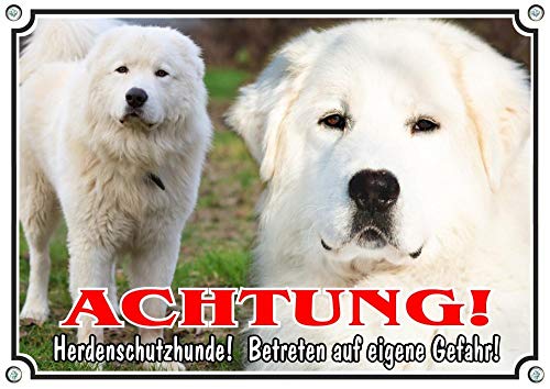 Petsigns Hundeschild 2 Maremmen-Abruzzen-Schäferhunde - Warnschild Maremmano aus Metall - uv beständig, DIN A3 von Petsigns