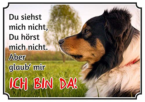 Petsigns Hundeschild Australian Shepherd - uv-beständiges Metallschild bis DIN A3, DIN A5 von Petsigns