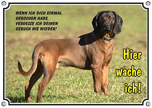 Petsigns Hundeschild Bayerischer Gebirgsschweißhund - Premiiumschild in Fotoqualität, DIN A5 von Petsigns