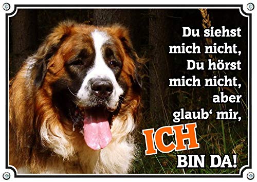 Petsigns Hundeschild - Bernhardiner - hochwertiges uv-beständiges Fotoschild, DIN A5 von Petsigns