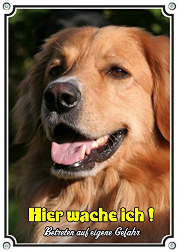 Petsigns Hundeschild Blonder Hovawart - stabiles Metallschild - rostfrei und beständig, DIN A4 von Petsigns