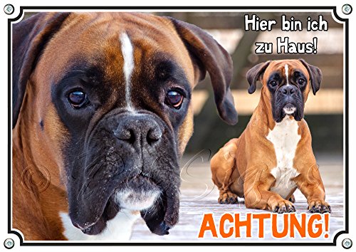 Petsigns Hundeschild Boxer - Achtung! - Exklusives Metallschild mit deutschem Boxer, DIN A5 von Petsigns