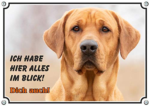 Petsigns Hundeschild Broholmer - Metallschild mit Fotodruck - UV beständig, DIN A3 von Petsigns