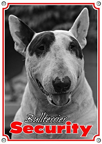 Petsigns Hundeschild Bullterrier - Security Schild - Warnschild aus Stabiler Metallplatte, DIN A3 von Petsigns