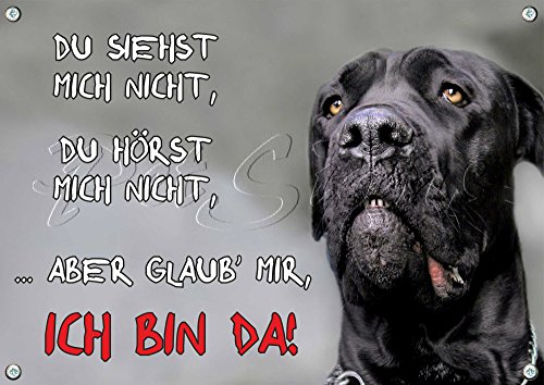 Petsigns Hundeschild Cane Corso - Metallschild Premiumqualität rostfrei und beständig, DIN A5 von Petsigns
