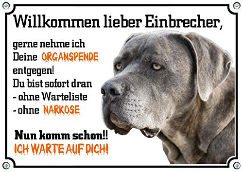 Petsigns Warnschild vom weissen Bullterrier TOP Hundeschild aus Stabiler 1,5 mm Metallplatte