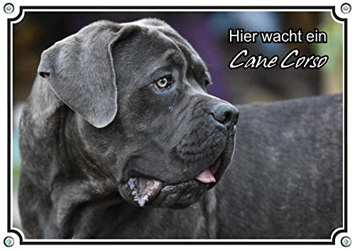 Petsigns Hundeschild Cane Corso - wunderschönes Warnschild - uv-beständig - Italien. Dogge, DIN A5 von Petsigns