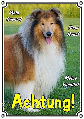 Petsigns Hundeschild Collie Langhaar Sable - Achtung! Metallschild in TOP Qualität, DIN A4 von Petsigns