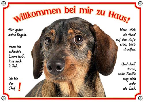 Petsigns Hundeschild - Dackel - Rauhaar - Willkommen uv-beständiges Aluminumschild, DIN A4 von Petsigns