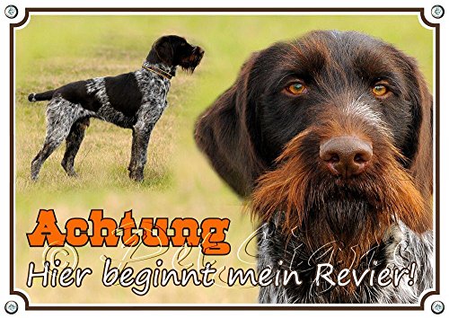 Petsigns Hundeschild - Deutsch Drahthaar - TOP TIPP - Metallschild rostfrei und uv-beständig, DIN A3 von Petsigns