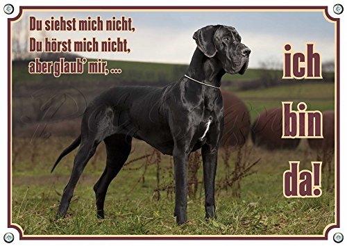 Petsigns Hundeschild Deutsche Dogge - Great Dane - Metallschild in Fotoqualität bis DIN A3 bestellbar, DIN A3 von Petsigns