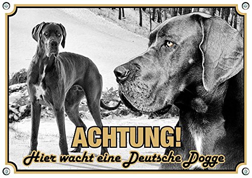 Petsigns Hundeschild Deutsche Dogge - Great Dane - uv-beständiges Exklusives Metallschild, DIN A3 von Petsigns
