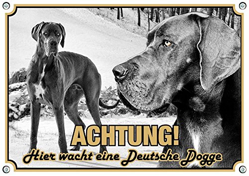 Petsigns Hundeschild Deutsche Dogge - Great Dane - uv-beständiges Exklusives Metallschild, DIN A4 von Petsigns