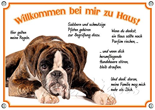 Petsigns Hundeschild - Deutscher Boxer - Metallschild Willkommen - uv-beständig, DIN A3 von Petsigns