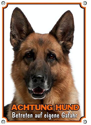 Petsigns Hundeschild Deutscher Schäferhund - Achtung Hund - Warnschild in 1A Qualität, DIN A3 von Petsigns