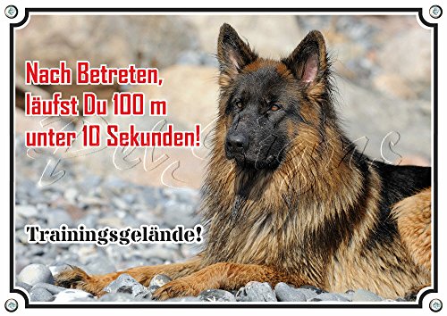 Petsigns Hundeschild Deutscher Schäferhund- Metallschild - stabil und wetterbeständig, DIN A5 Petsigns Hundeschild Deutscher Schäferhund- Metallschild - stabil und wetterbeständig, DIN A5 von Petsigns
