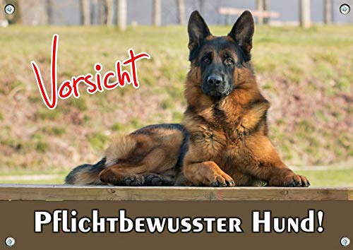 Petsigns Hundeschild Deutscher Schäferhund - Premiumschild in TOP Fotodruck, DIN A3 von Petsigns