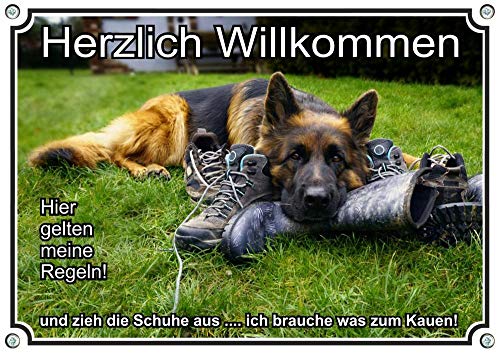 Petsigns Hundeschild Deutscher Schäferhund - hochwertiges Warnschild Willkommen lustig, DIN A4 von Petsigns
