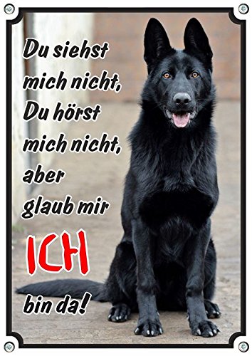 Petsigns Hundeschild Deutscher Schäferhund schwarz - Metallschild in 1a Fotoqualität, DIN A3 von Petsigns
