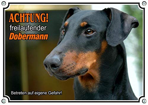 Petsigns Hundeschild Dobermann - Warnschild freilaufender Hund - uv-beständiges Metallschild, DIN A3 von Petsigns