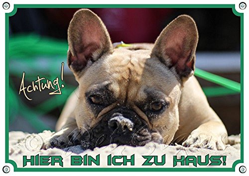 Petsigns Hundeschild - Französische Bulldogge - Exklusives 1,5mm Dickes Metallschild, DIN A3 von Petsigns