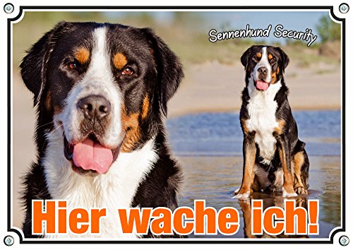 Petsigns Hundeschild Großer Schweizer Sennenhund - Metallschild Premium Qualität, DIN A4 von Petsigns