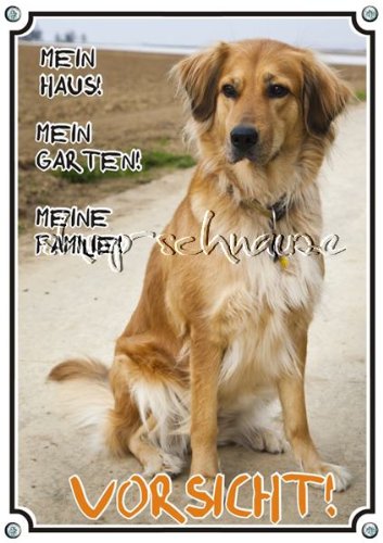 Petsigns Hundeschild - Hovawart blond - uv-beständiges Türschild aus Metall, DIN A4 von Petsigns