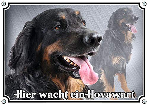Petsigns Hundeschild - Hovawart - rostfreies Metallschild in TOP Foto Qualität, DIN A3 von Petsigns