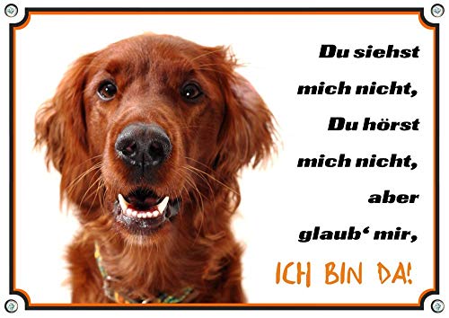 Petsigns Hundeschild Irish Red Setter - Exklusives Warnschild in Fotoqualität - Metall, DIN A4 Petsigns Hundeschild Irish Red Setter - Exklusives Warnschild in Fotoqualität - Metall, DIN A4 von Petsigns